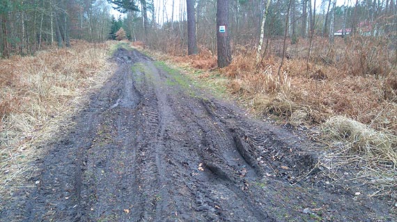 Nie wszystkim wystarczają ścieżki rowerowe w naszym mieście. Dla jednych to raj, według innych żenada