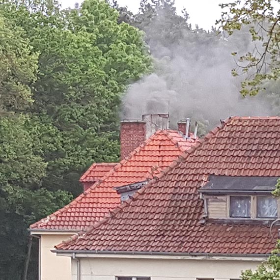 Letni czad... Jak turyci wspominaj wczasy w naszym miecie? 