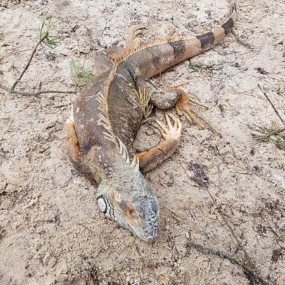 Ziemia kryje jeszcze wiele niespodzianek