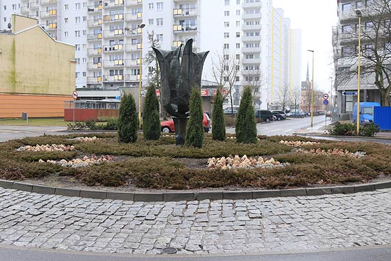 Czytelnik: Kiedy zabierzecie z ronda zmarzniętą kapustę? Wygląda ohydnie!