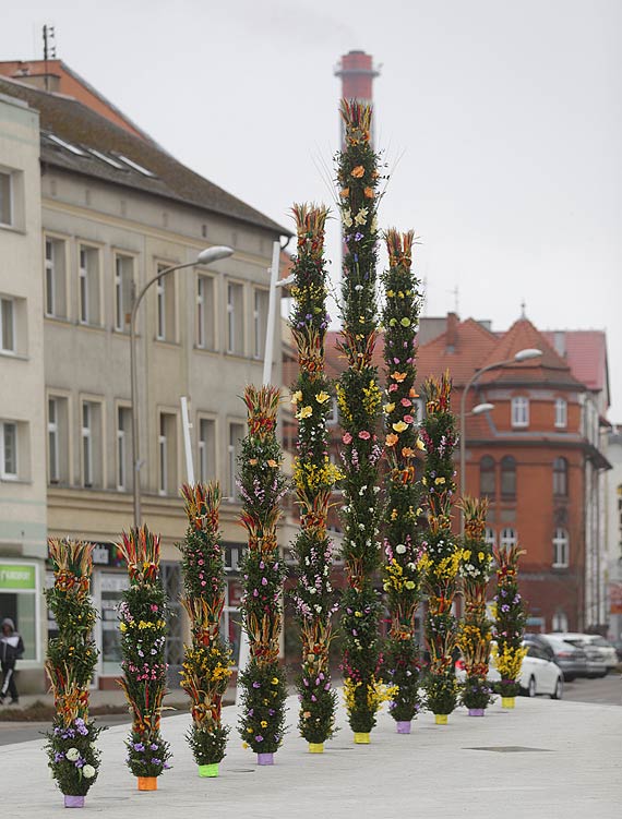 Skruszony czy wystraszony? Zodziej odda wielkanocn palm