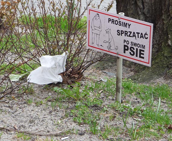 Idzie wiosna i zaczyna si problem psich kup