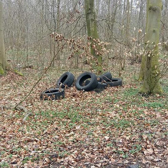 Kolejne mieci wyrzucone w lesie
