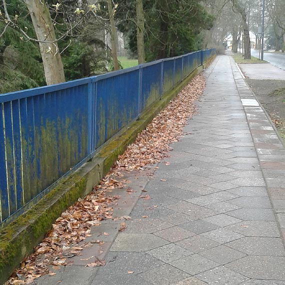 Mieszkaniec: Maj strzec porzdku a nie potrafi go utrzyma przed swoim budynkiem?
