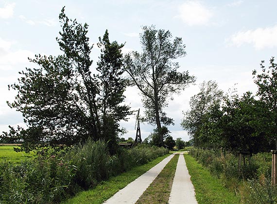 Pokonaj 36 km rowerami ze ¦wirami