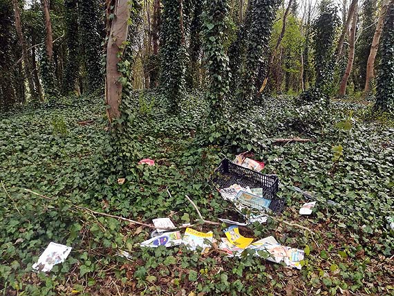 Miały być piękne rośliny, jest niezła melina