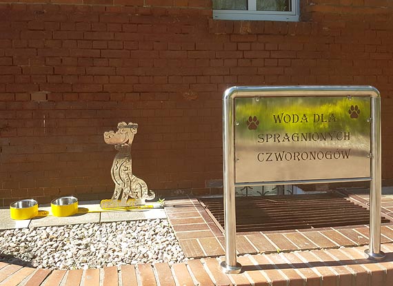 Przed winoujskim Urzdem Miasta ustawione zostay poida dla psw