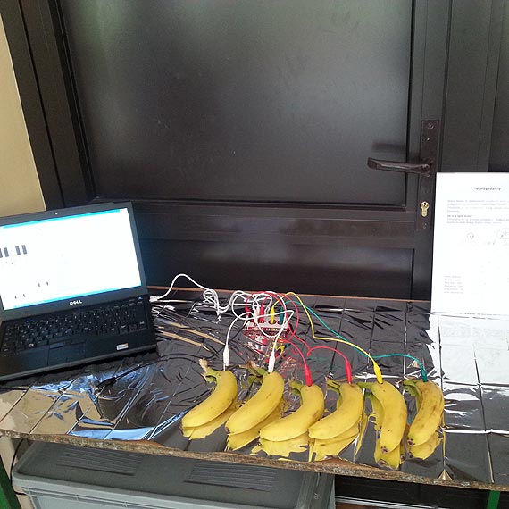Młodzi programiści poszerzają swoją wiedzę!