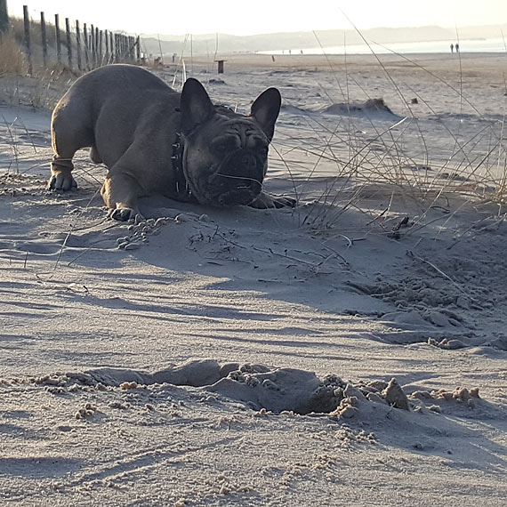 Ekipa Buldogi winoujcie zaprasza na spotkanie 