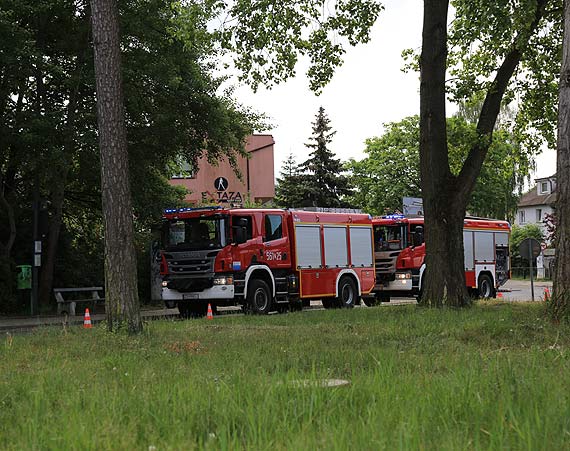 Pali si las - z ogniem walczyy dwa zastpy straakw