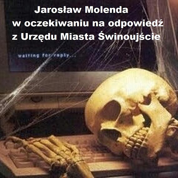 Dlaczego wadze naszego miasta nie s zainteresowane literack promocj winoujcia?