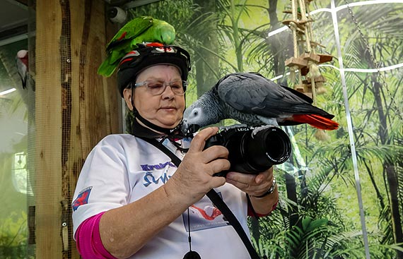 Przejedź ze Świrami trasę 41 km w najbliższą niedzielę