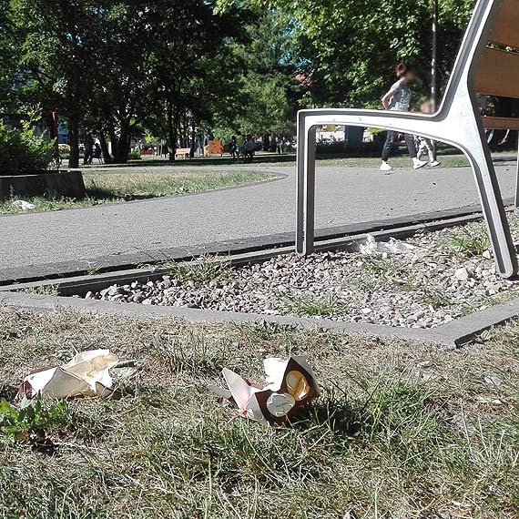 Zapomnieli posprzta po pikniku