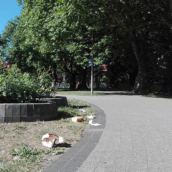 Zapomnieli posprzta po pikniku