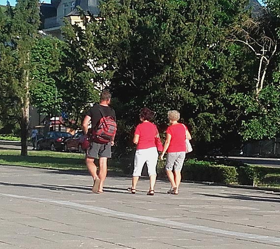 Kwiat winoujcia w tym roku nagabuje na par zotych do parkomatu
