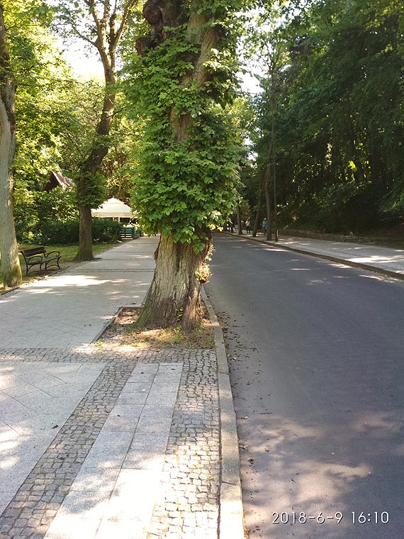 Czytelnik: Jest jeszcze czas aby to zmienić i nie narażać się na wizytę dziennikarzy z TVN TURBO „Absurdy drogowe”