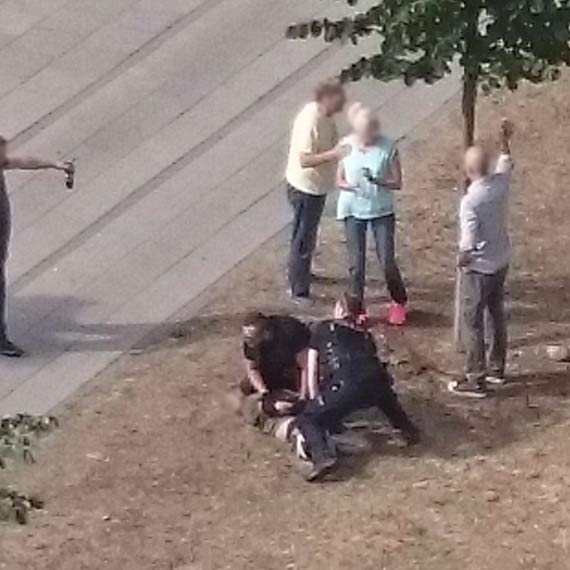 Szalał na głównej ulicy, walczył z wiatrem, rzucał się pod przejeżdżające auta. Świadkowie patrzyli z przerażeniem