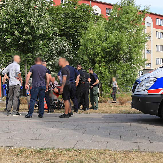 Szalał na głównej ulicy, walczył z wiatrem, rzucał się pod przejeżdżające auta. Świadkowie patrzyli z przerażeniem