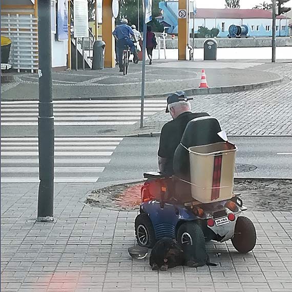 Stra miejska oraz policja zostawiy niepenosprawnego na pastw losu. Mczynie pomogli dopiero wiadkowie zdarzenia...