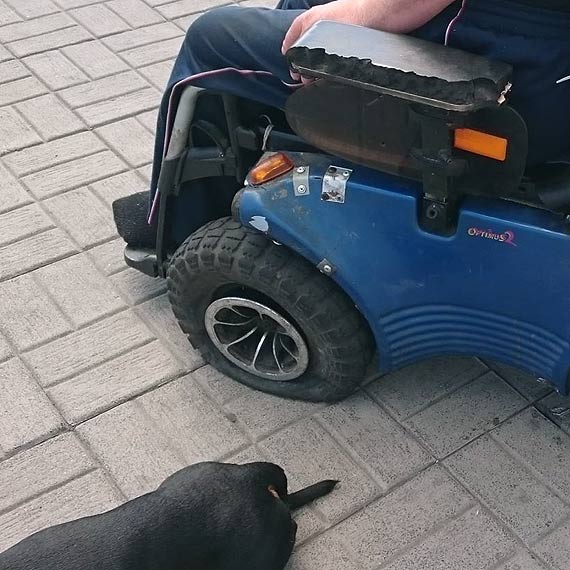 Stra miejska oraz policja zostawiy niepenosprawnego na pastw losu. Mczynie pomogli dopiero wiadkowie zdarzenia...
