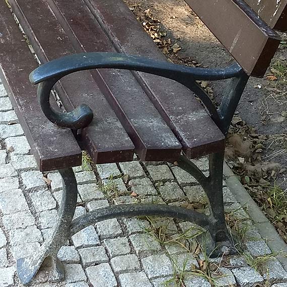   Alejki parkowe posprztane, awki lepi si od brudu