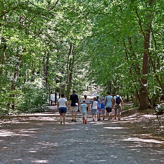 Powstaje koncepcja trasy drogi rowerowej przez Woliski Park Narodowy. Zobacz film!