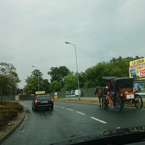Czy doroki mog jedzi ulic 11 Listopada?