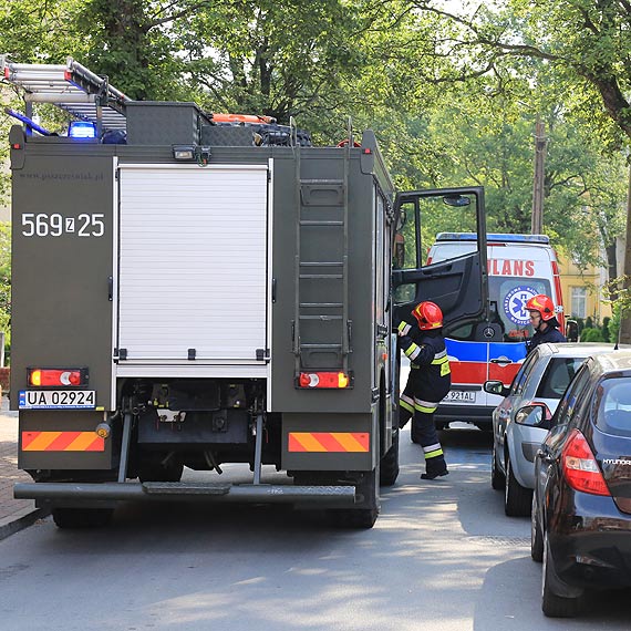 Nietoperze upodobay sobie budynek przy ulicy Paderewskiego i nie chciay go opuci - straacy musieli apa je rkoma