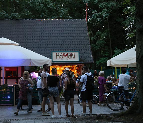 Pierwsze akordy 48 festiwalu FAMA