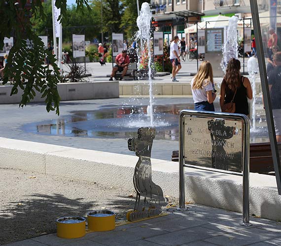 Miejskie poideka dla psw jednak istniej! Po trzech miesicach od publicznej prezentacji projektu pierwsze poideka pojawiy si w centrum