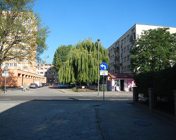 Czytelnik pyta o zamys osoby projektujcej oznakowanie ulicy Kociuszki