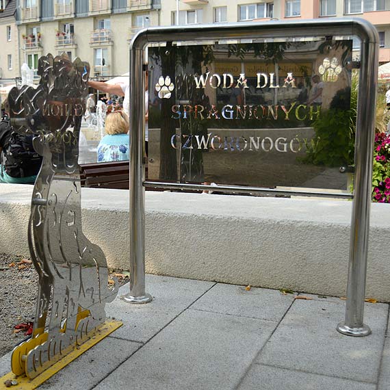 Poideka dla psw kosztoway 5200 z netto