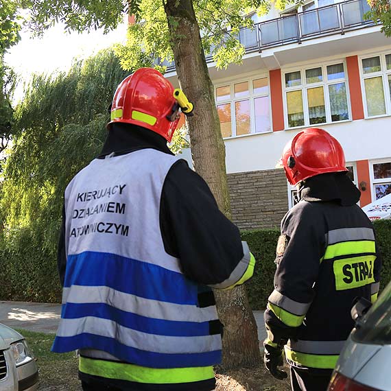 Interwencje straakw 3 wrzenia