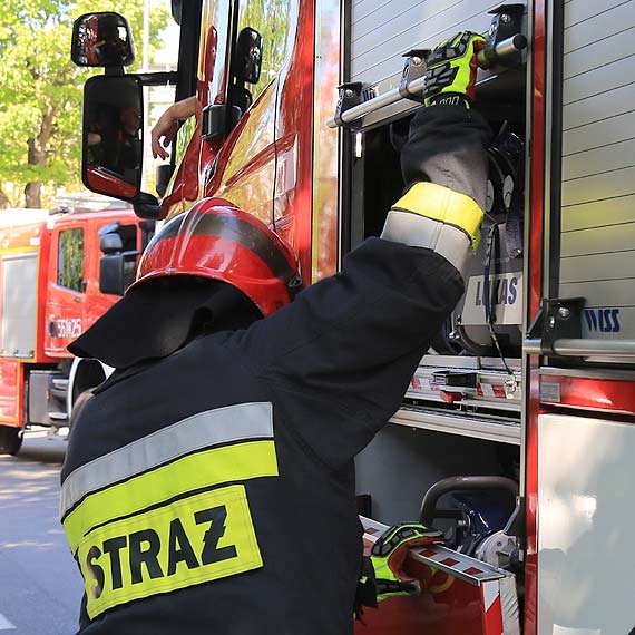 Wąż pod szafą Granicznej Stacji Sanitarno-Epidemiologicznej
