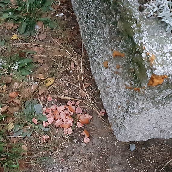 Truciciel naszych psw powrci! Czytelnik ostrzega wacicieli czworonogw