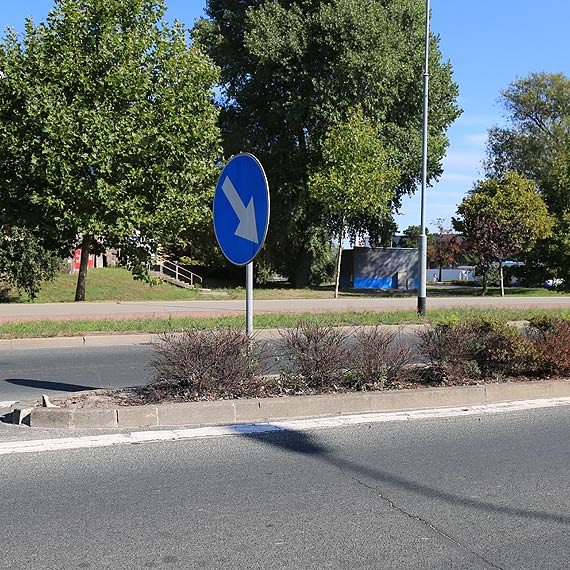 Czytelnik: Kto tak zaniedba miejsk ziele?