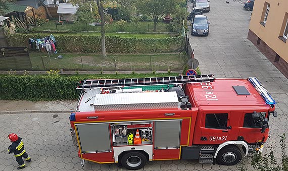 Gałąź uszkodziła zaparkowany samochód