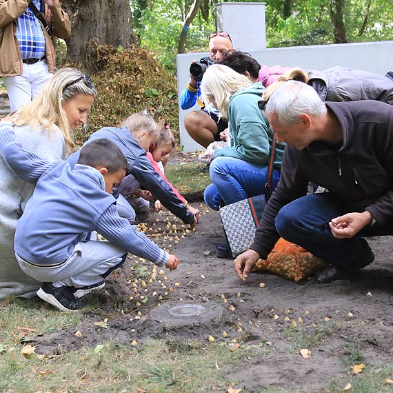 Park Chopina pełen muzyki i poezji, a kwiaty… już rosną!
