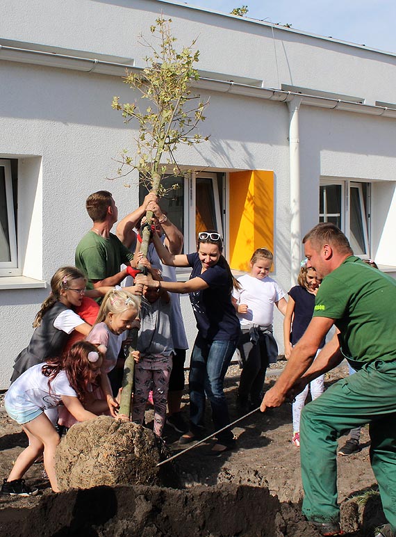 Szkoa podstawowa nr 4. Przy nowych drzewach zakopali kapsuy czasu