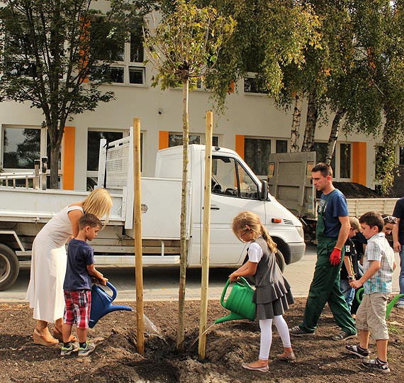 Szkoła podstawowa nr 4. Przy nowych drzewach zakopali kapsuły czasu