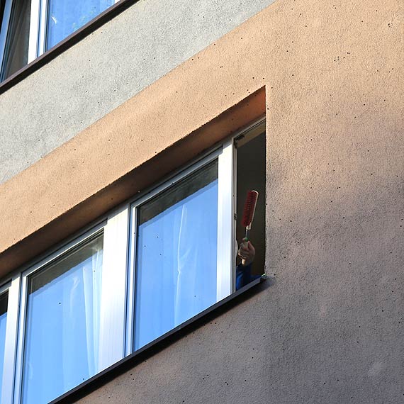 Odlatuj  ptaki, przylatuj...biedronki. Jesienny prezent od natury?