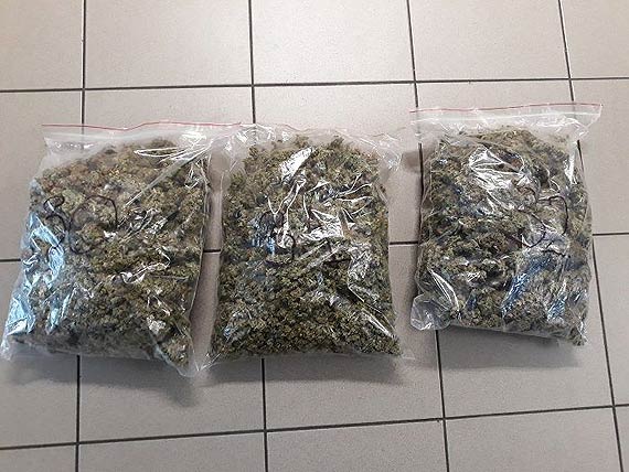 Zlikwidowana jedna z większych plantacji na terenie w tym roku