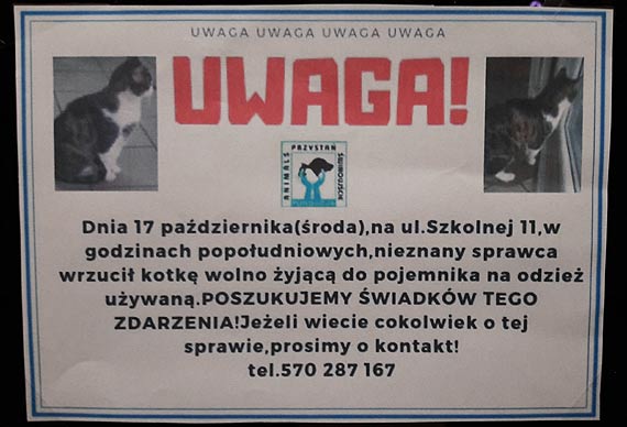 Szukamy zwyrodnialca, ktry wrzuci kotk do pojemnika na odzie