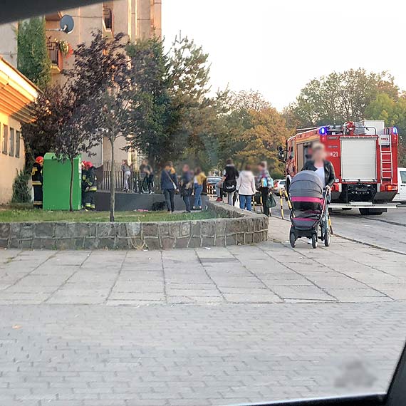 Szukamy zwyrodnialca, ktry wrzuci kotk do pojemnika na odzie