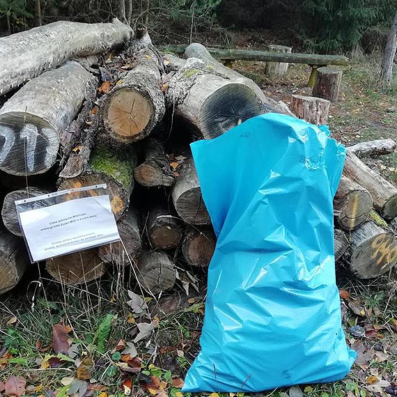 mieci - nasz towar eksportowy?