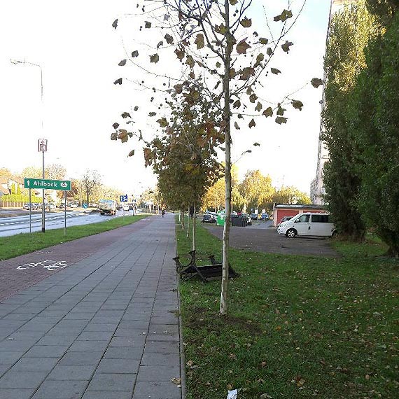 Wandale nie zapadaj w zimowy sen...