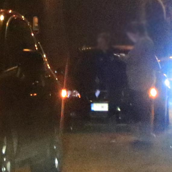 Pies wybiegł pod koła samochodu na Grunwaldzkiej. Przechodnie z konającym zwierzęciem na rękach bezskutecznie kontaktowali się z weterynarzami