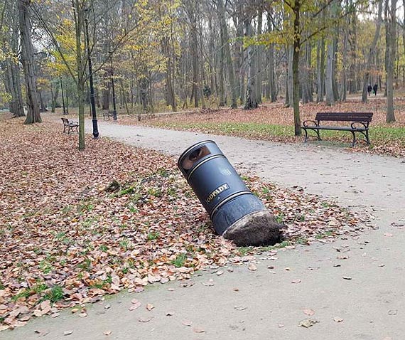 Kosze na mieci wyrwane z ziemi