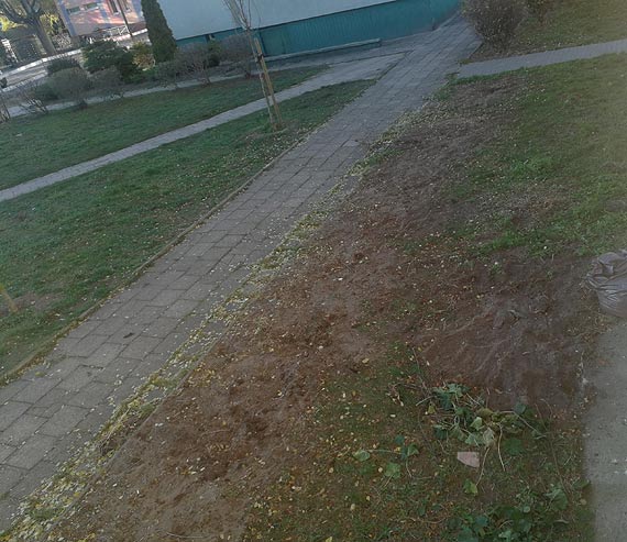 Czytelnik: Za dużo zieleni w mieście?