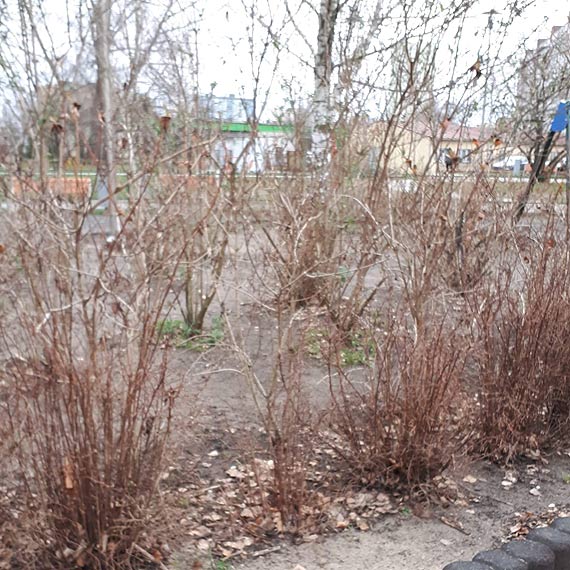 Czytelniczka: Na tym placu zabaw płytki są wypaczone i małe dzieci na nierównej powierzchni się przewracają